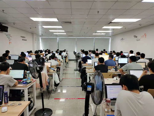 新起點，新夢想 在黑馬程序員技術社區揚帆起航